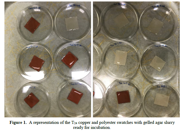 True Copper Antimicrobial Glove Petri Dish Swatches of Copper Fabric