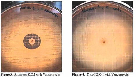 True Copper Antimicrobial Glove Laboratory Results